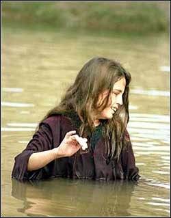 turtles can fly stamp